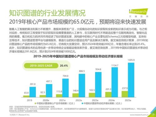 2020年中国面向人工智能新基建的知识图谱行业白皮书 互联网技术服务的赋能与展望